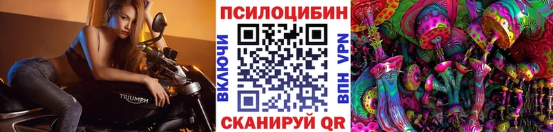 Галлюциногенные грибы Cubensis  Купить закладки  Медногорск 